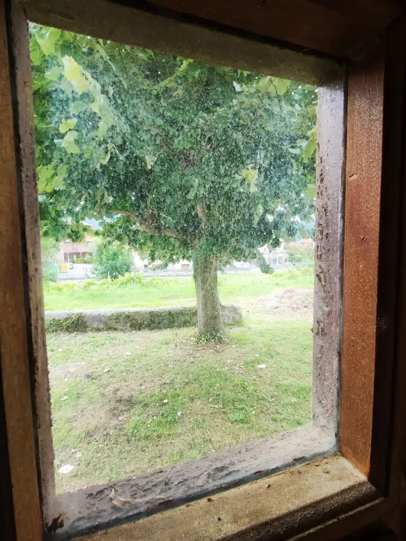 House for sale in Bilbao Etorbidea 2, imagen 21