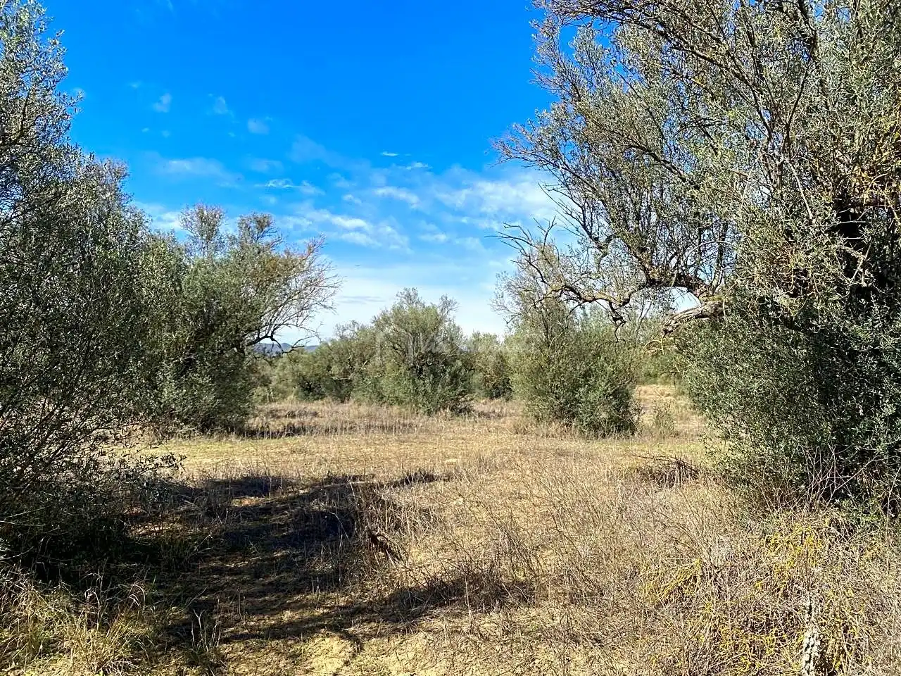 Terrain rustique à vendre à Aixalella, imagen 29