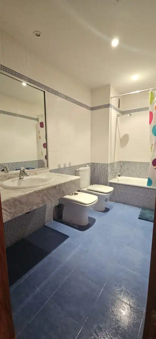 Baño de Apartamento de alquiler en Ciudad Real con Amueblado