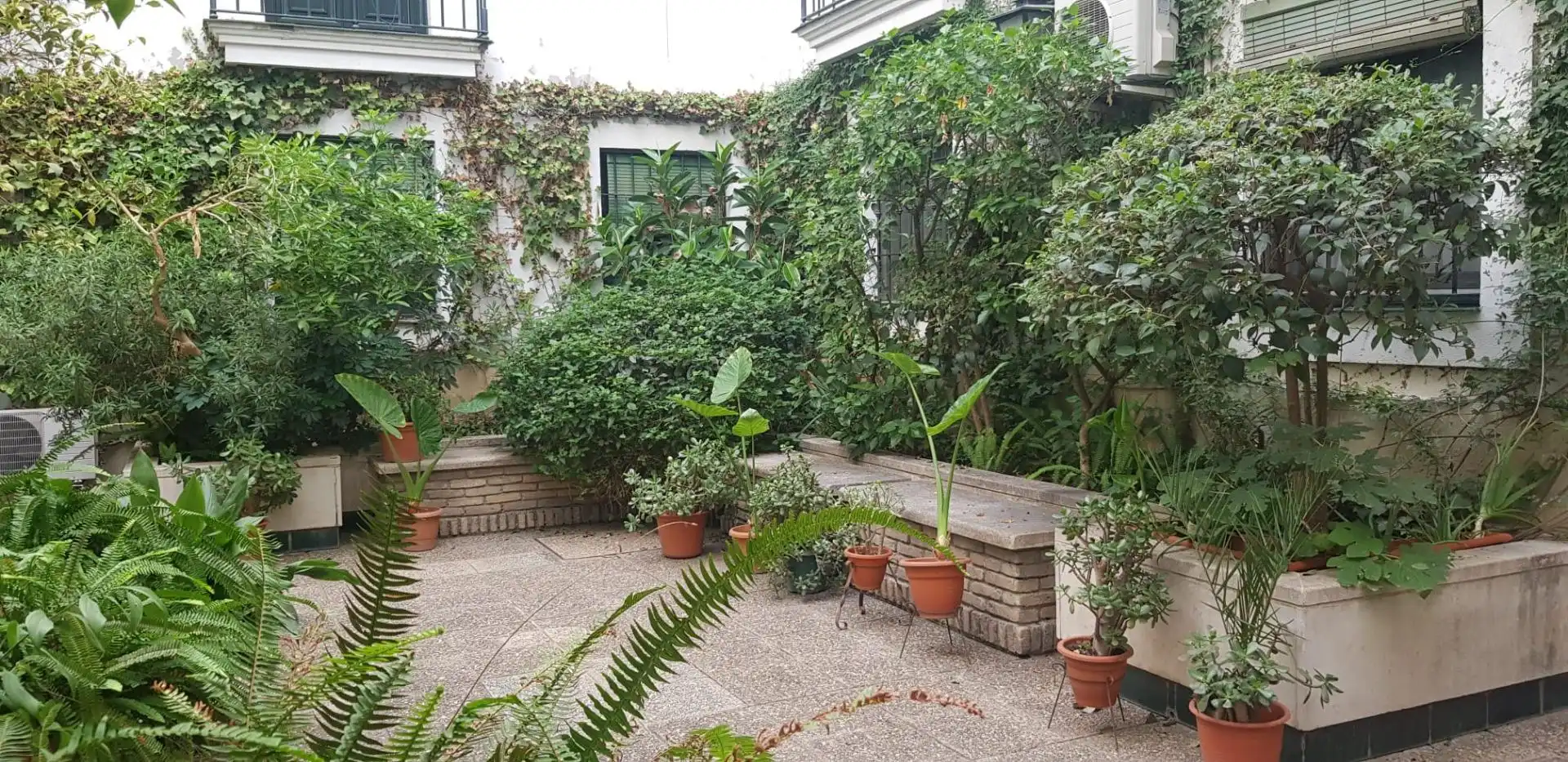 Wohnung zur Miete in Arenal - Museo
