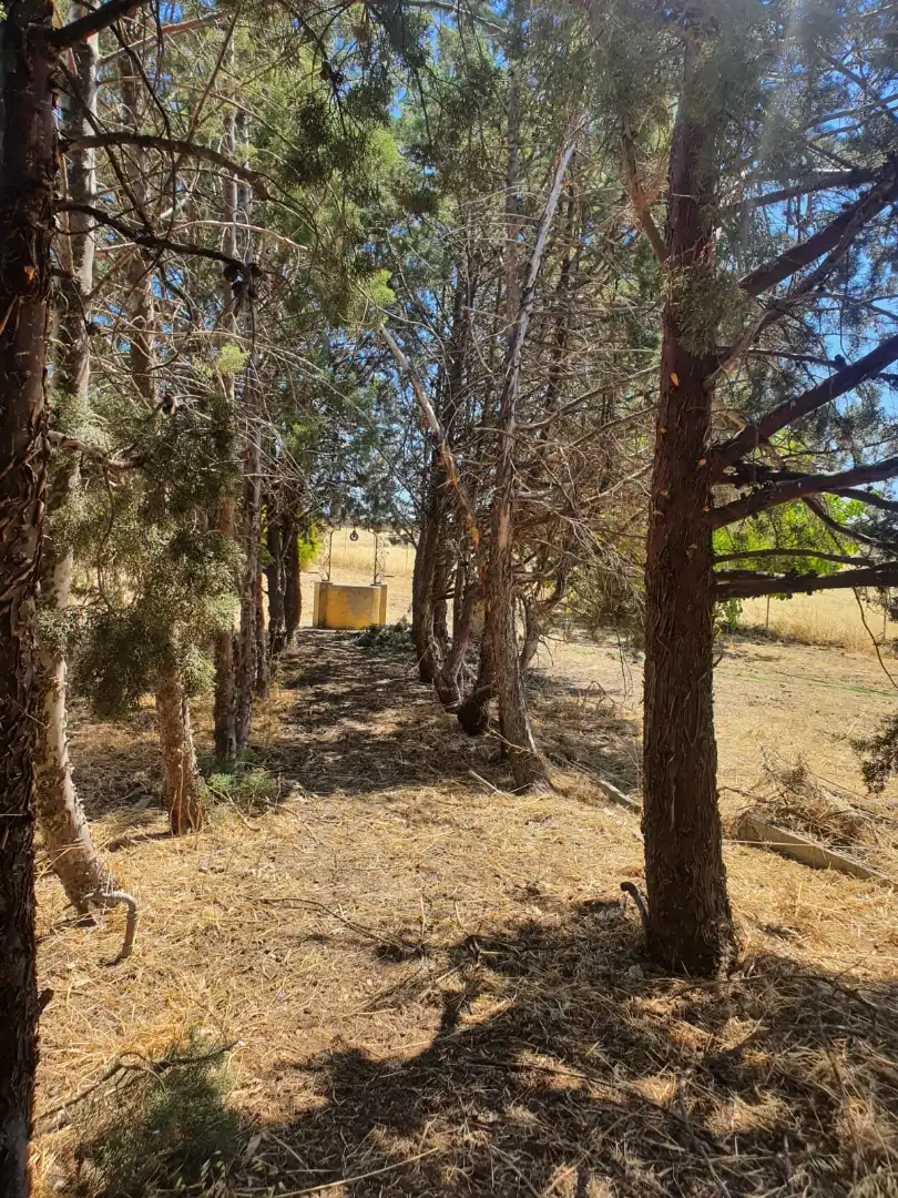 Houses for sale in Talarrubias  with Air Conditioner, Private garden and Storage room