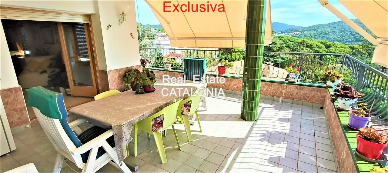 Casa o xalet en venda a Avinguda Mare de Déu de Gràcia, Condado del Jaruco - Puigventós