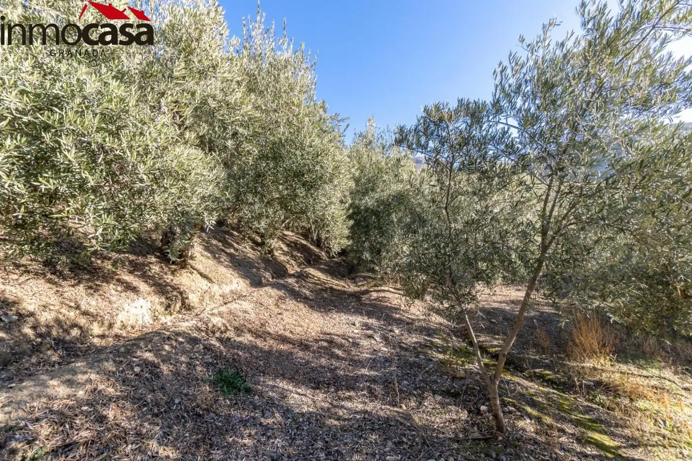 Finca rústica en venda a Polígono PARAJE DE LA HOYA, Güéjar Sierra