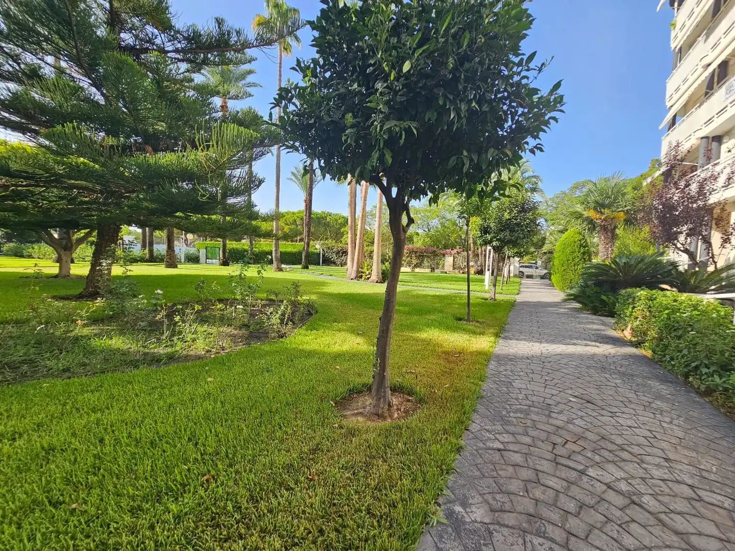 Piso con piscina en venta en Park Nord - Casona, imagen 5
