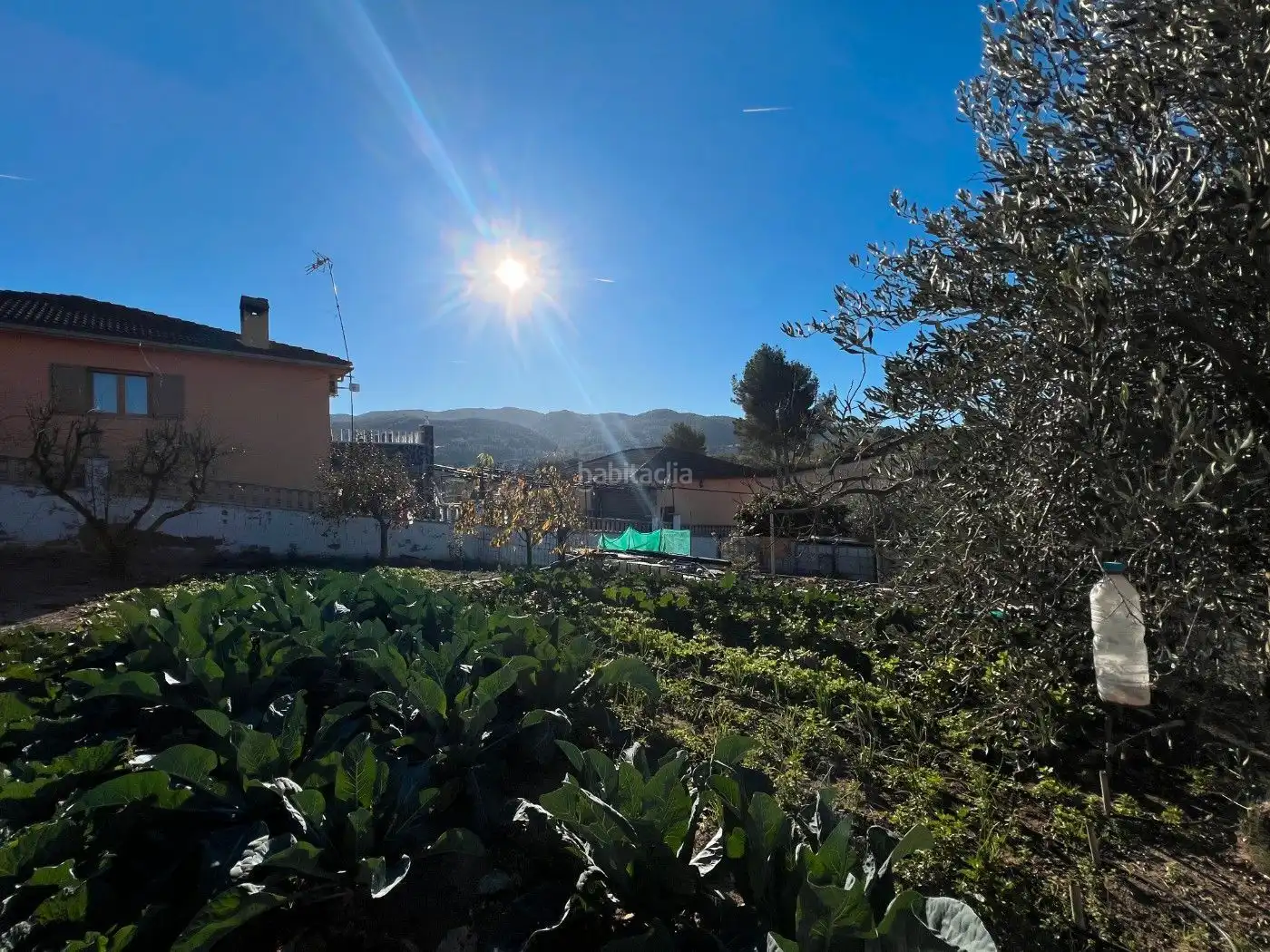 Grundstücke und Bauplätze zum Verkauf in Sant Esteve Sesrovires, imagen 15
