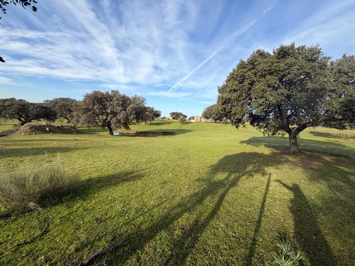 Land for sale in Serradilla