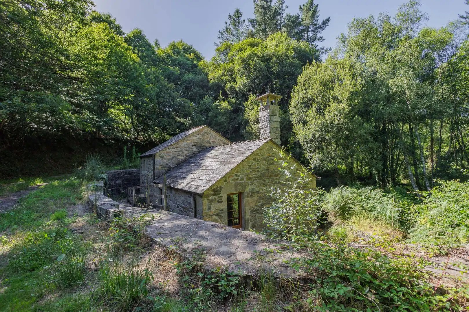 Vista exterior de Finca rústica en venta en Begonte
