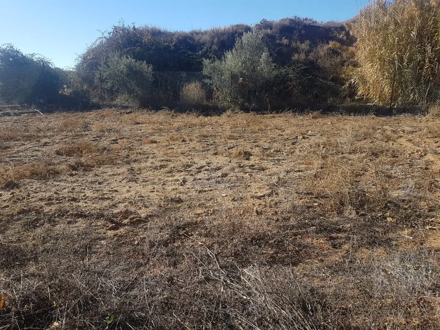 Terrenys i solars en venda a Cuevas del Campo, imagen 3