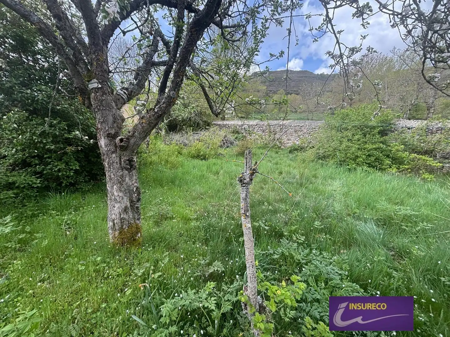 Casa o chalet en venta en Cabrillanes con Calefacción, Jardín privado y Trastero