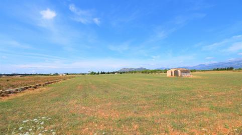 Photo 4 of Country house for sale in Llubí, Illes Balears