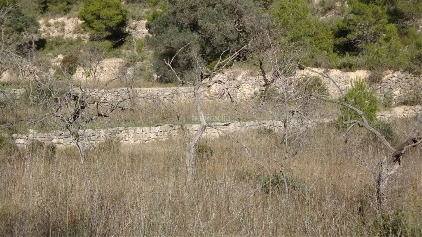 Rustikales Grundstück zum Verkauf in Carrer de l'Església 35, imagen 3
