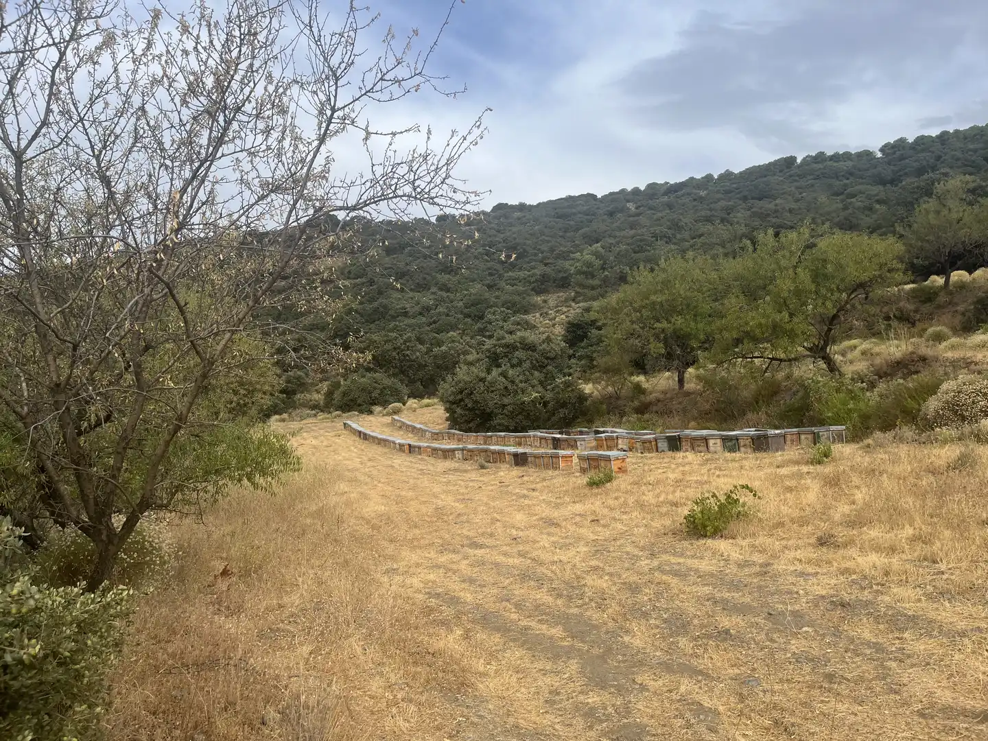 Vista exterior de Terreno en venta en La Taha
