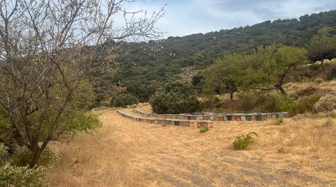 Photo 2 of Land for sale in A-4132, La Taha, Granada