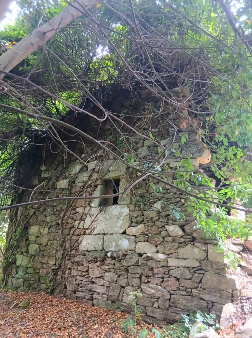 Vista exterior de Finca rústica en venda en Gomesende amb Jardí privat, Terrassa i Traster