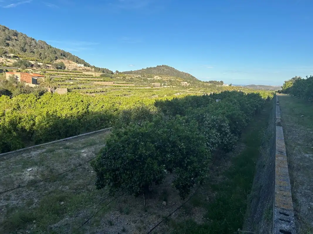 Finca rústica en venda en Oliva amb Moblat