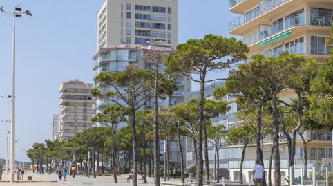 Platja dAroGaraje, imatge 4