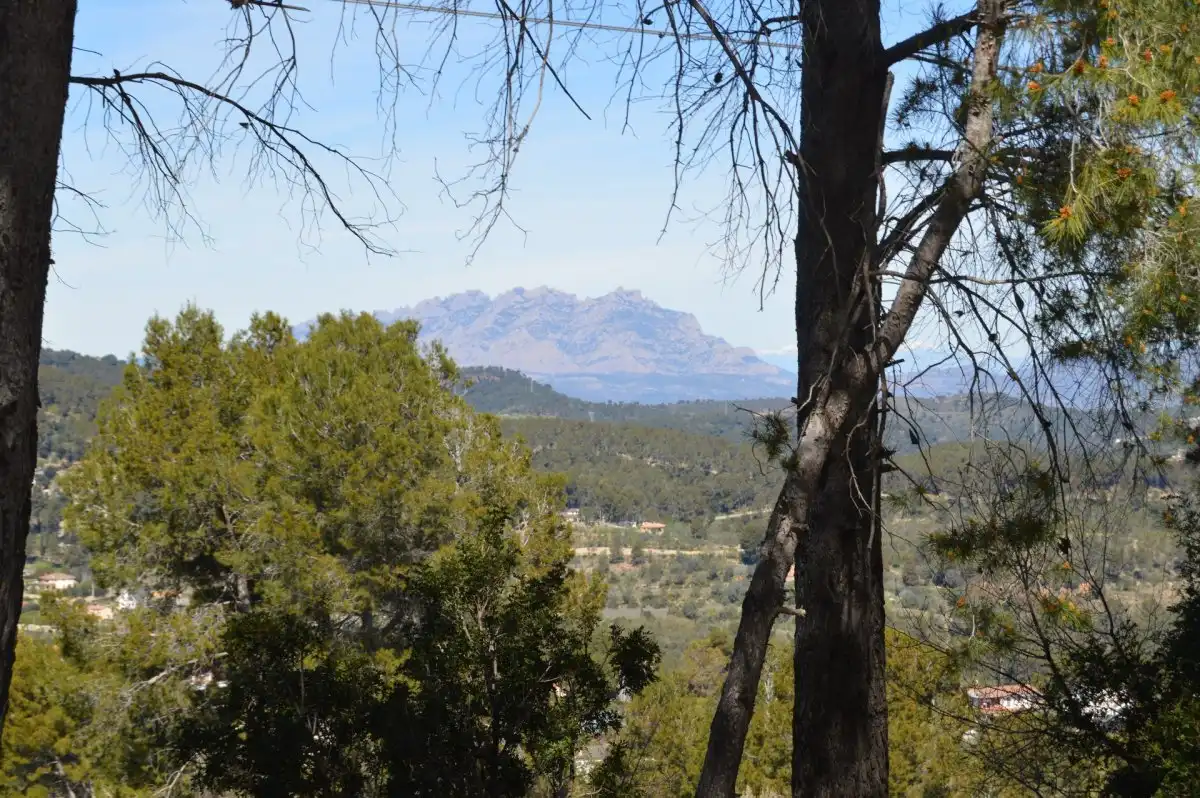 Terreni e lotti in vendita a Corbera de Llobregat, imagen 6