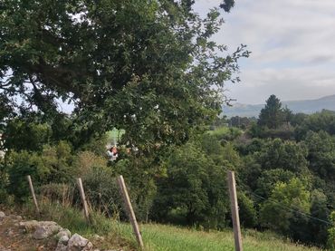Wohnbaugrundstück zum Verkauf in Cartes