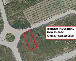 Terreny industrial en venda en Guardamar de la Safor