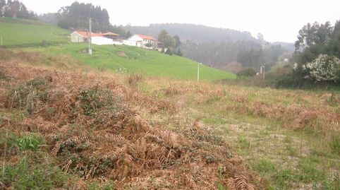 FINCA EDIFICABLE EN CAMPANAL PERLORA LLANA EN NUCLEO RURAL., imatge 4