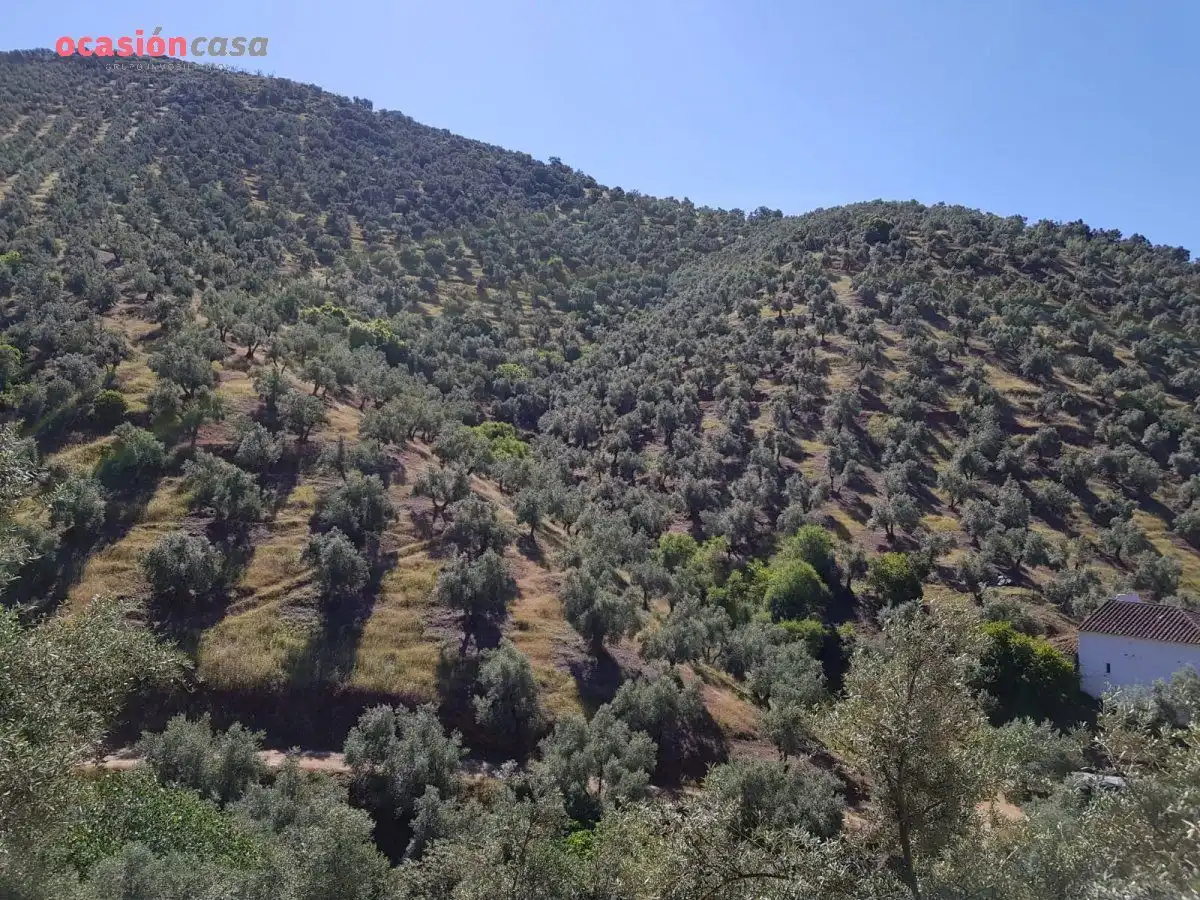 Finca rústica en venta en Villanueva de Córdoba con Jardín privado, Trastero y Amueblado