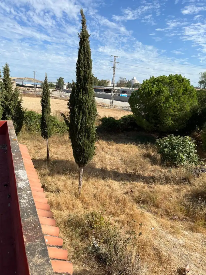 Finca rústica en venda en Jerez de la Frontera