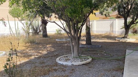 Foto 4 de Casa o chalet en venta en Santo Domingo, El Ejido