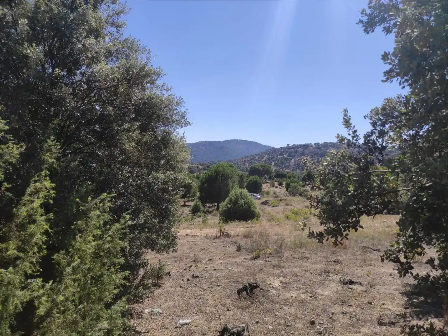 Finca rústica en venda en El Hoyo de Pinares , Ávila