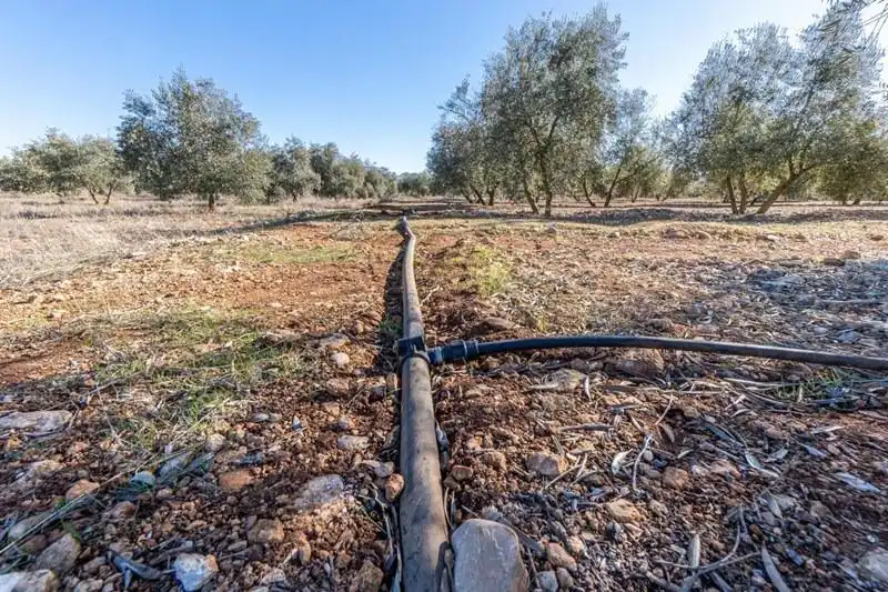Casa rústica en venda a PAGO CORTIJO DE LAS MONJAS POLIGONO 1 PARCELA 193, imagen 8