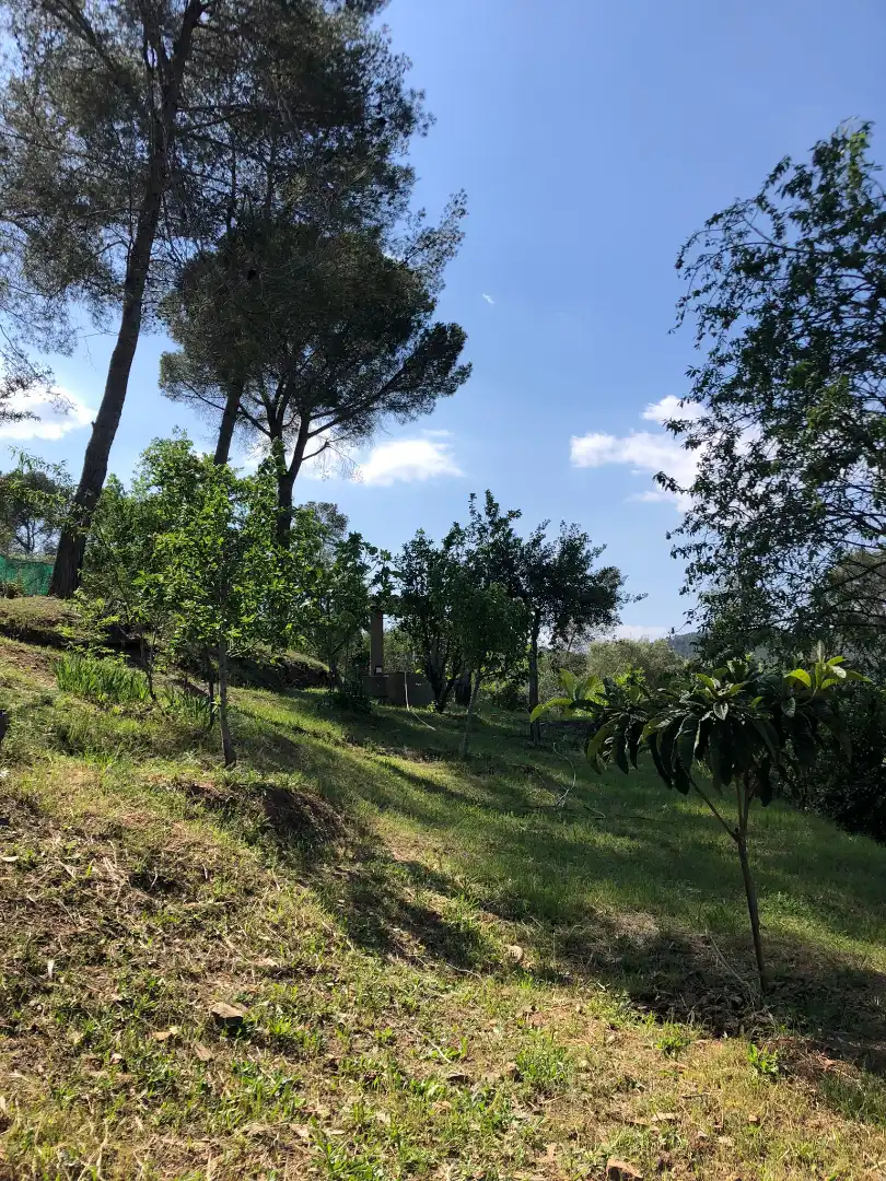 Terreno residenziale in vendita a Sant Vicenç Dels Horts, imagen 5