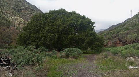 Foto 2 de Terreno en venta en Carretera Tahodio, 49, Anaga,  Santa Cruz de Tenerife Capital