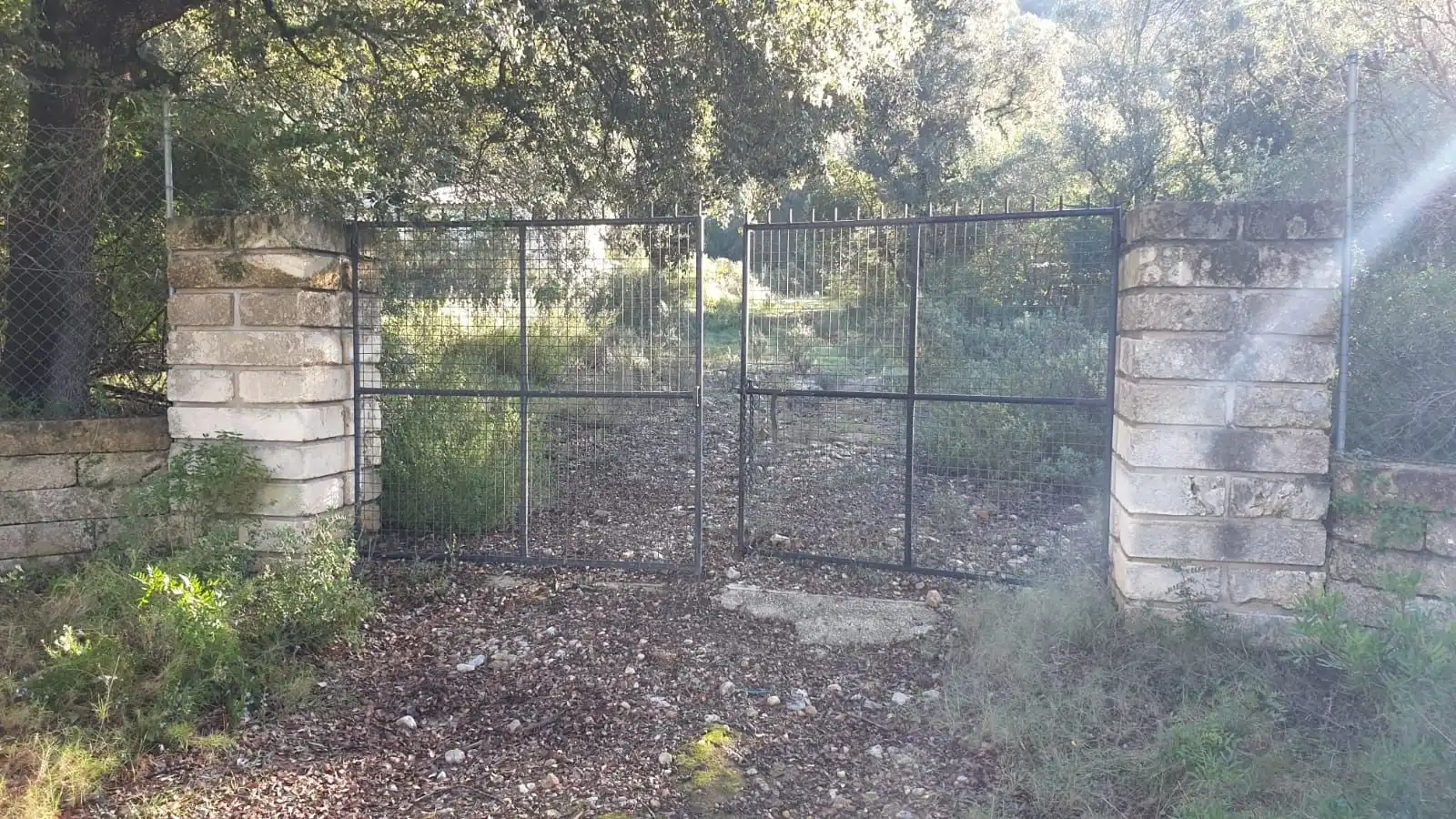 Rural land for sale in Sa Pobla, imagen 21