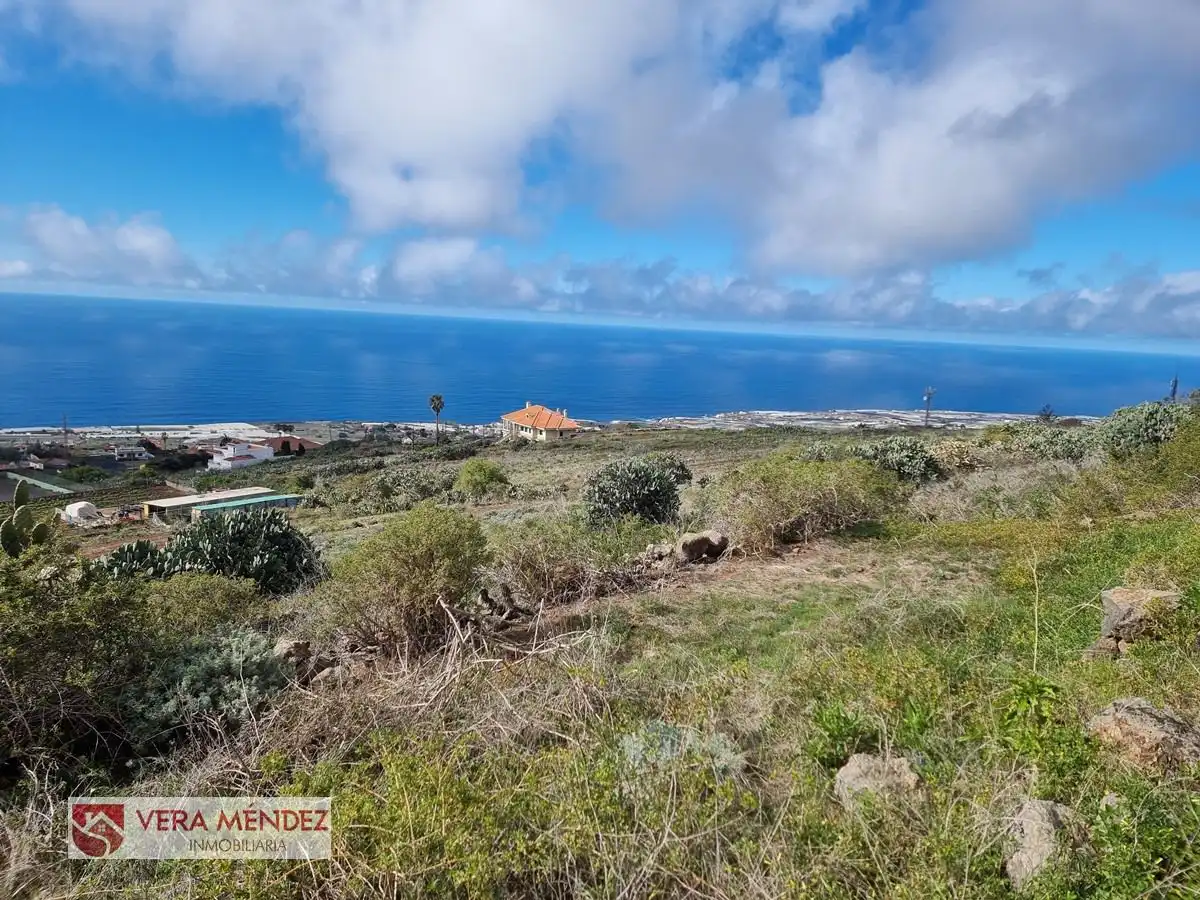 Vista exterior de Finca rústica en venta en Tacoronte