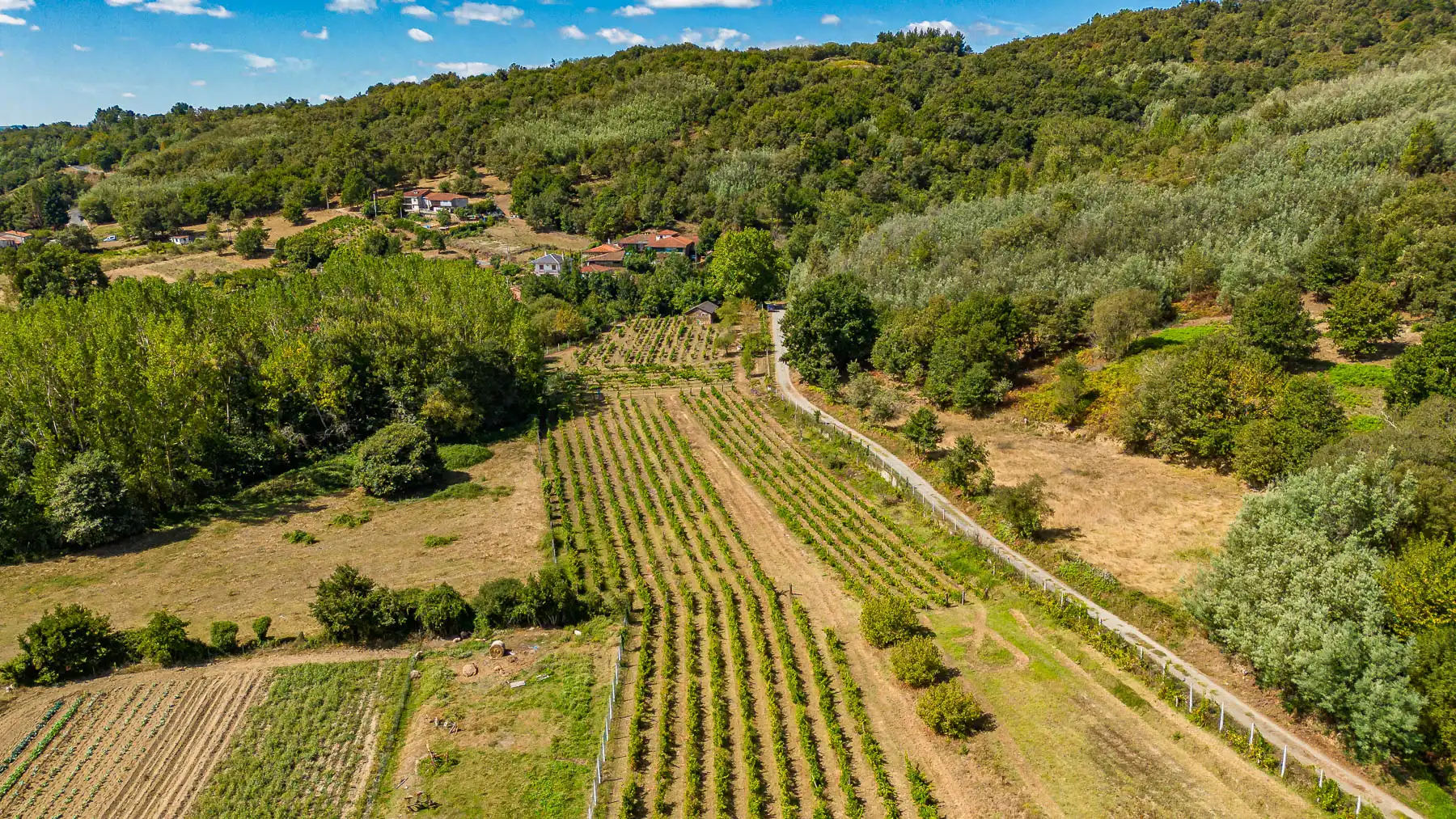 Geschaftsraum zum Verkauf in Monforte de Lemos