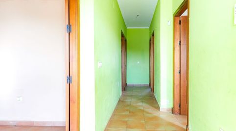 Photo 5 of Houses for sale in Pelagatos - Pago del Humo, Chiclana de la Frontera