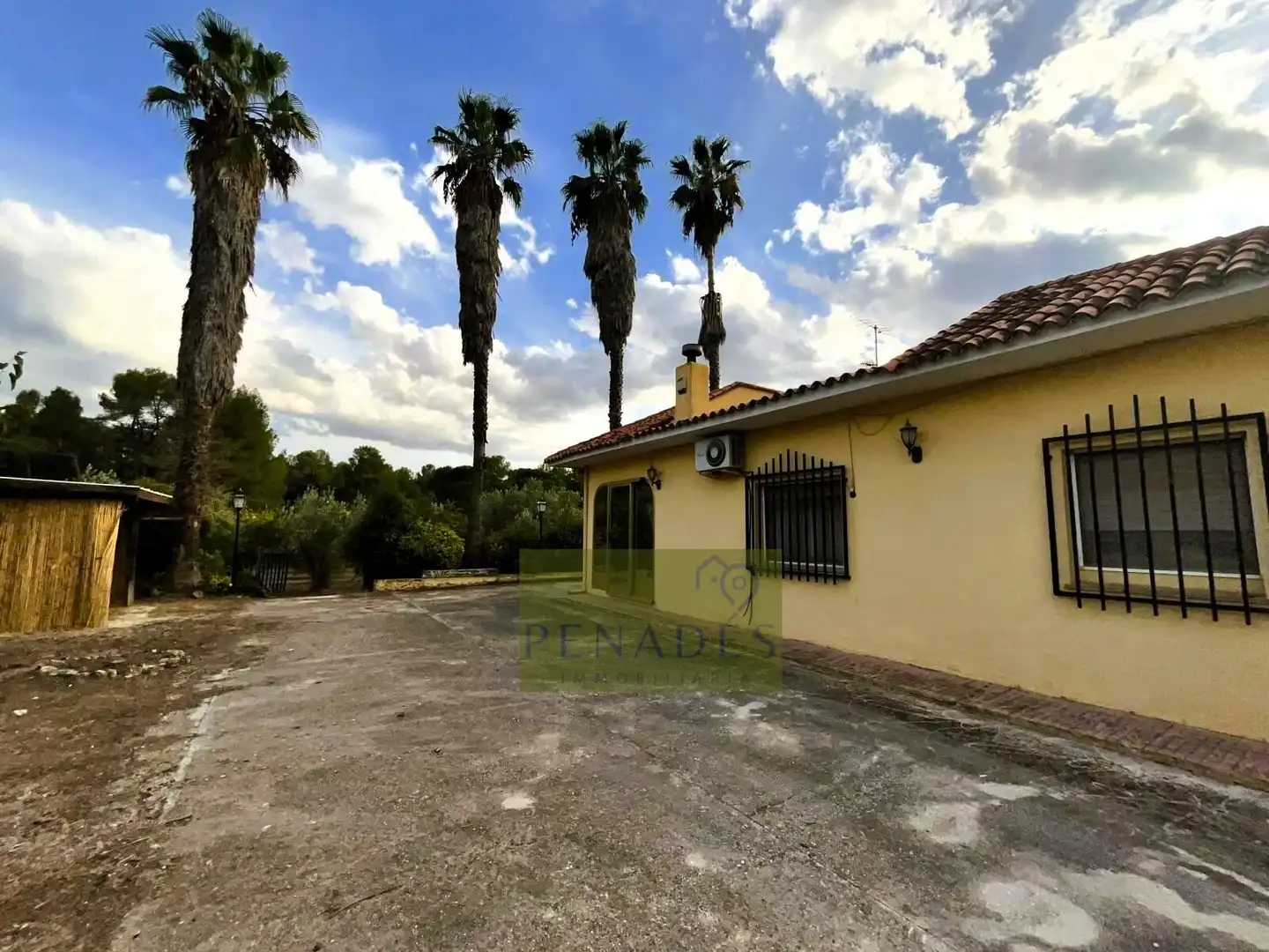 Vista exterior de Casa o chalet en venta en El Pilar 