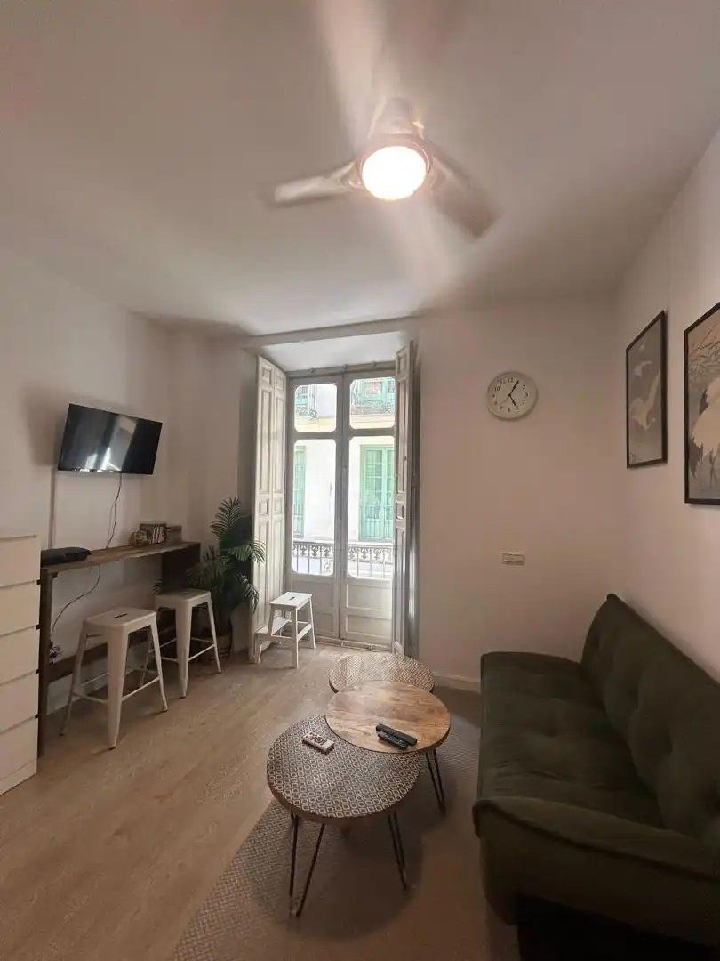 Sala d'estar de Estudi en venda en Málaga amb Aire condicionat i Moblat