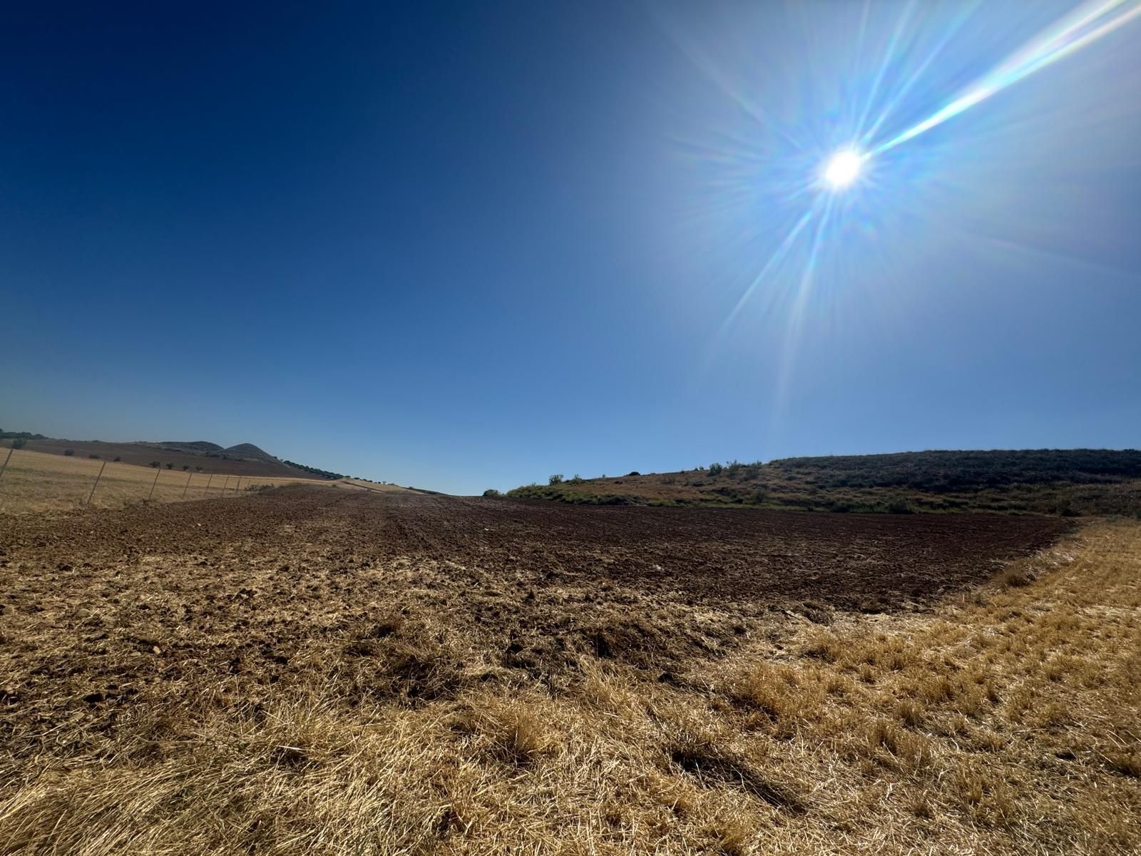 Land for sale in Los Santos de la Humosa