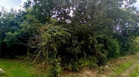 Foto 3 de Casa o xalet en venda a Calle Retela, 8, Tapia de Casariego, Asturias