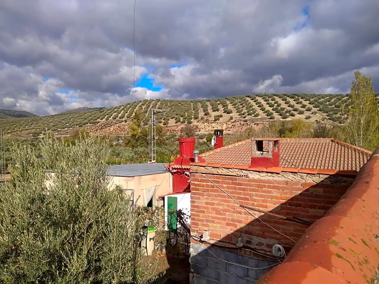 Vista exterior de Finca rústica en venta en Benalúa de las Villas con Jardín privado, Terraza y Trastero