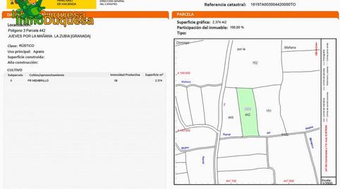 Foto 5 de Finca rústica en venda a Camino Pre Ramal del Molino, Pol.3, La Zubia Ciudad, Granada