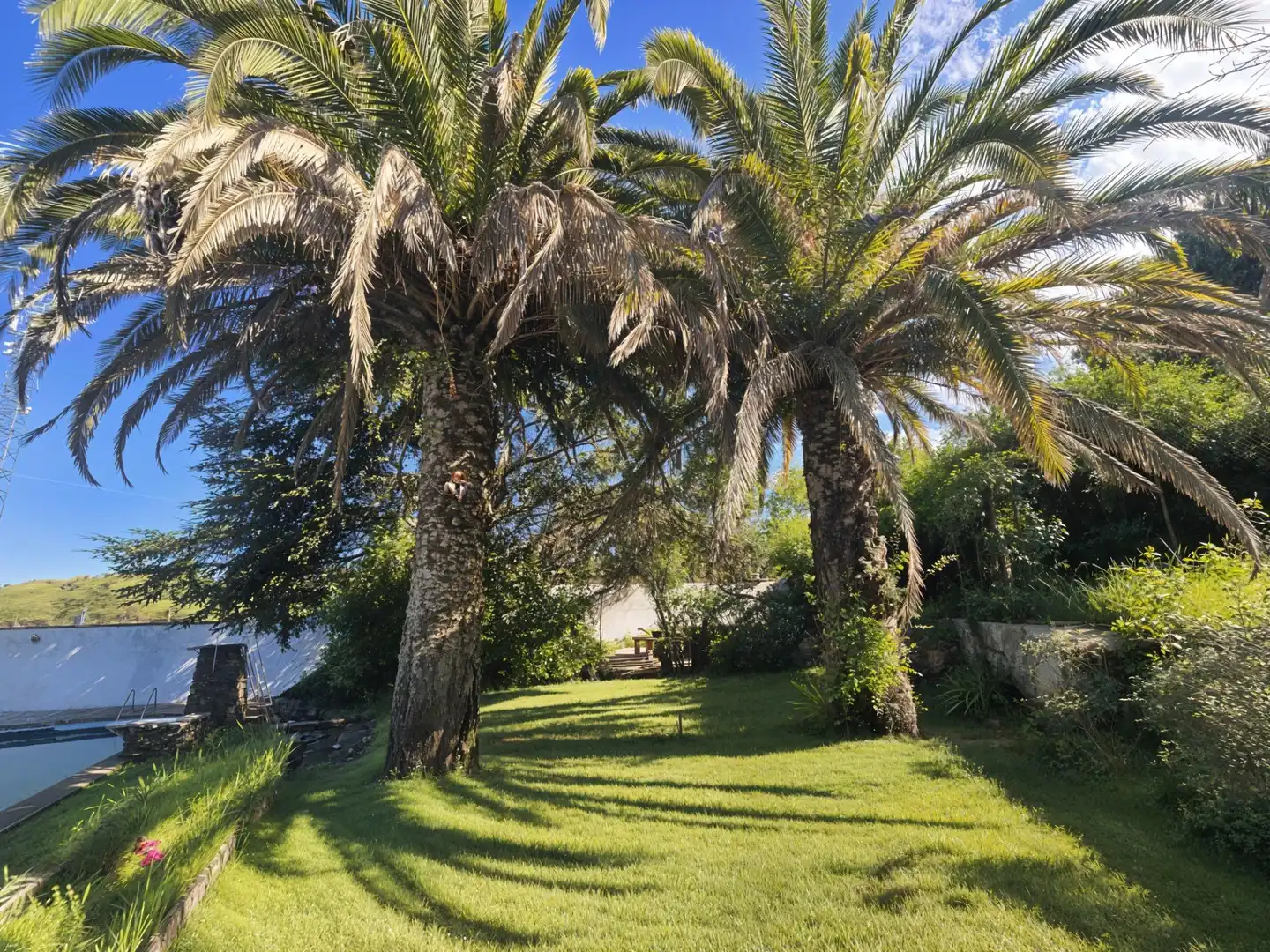 Jardín de Casa o chalet en venta en Plasencia con Aire acondicionado, Calefacción y Jardín privado