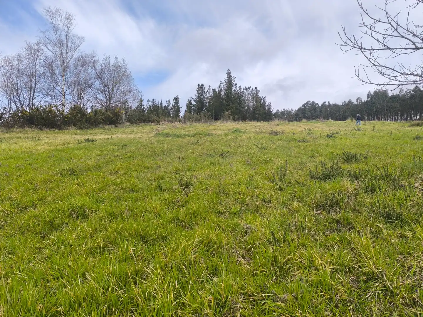 Casa o xalet en venda en Palas de Rei amb Jardí privat