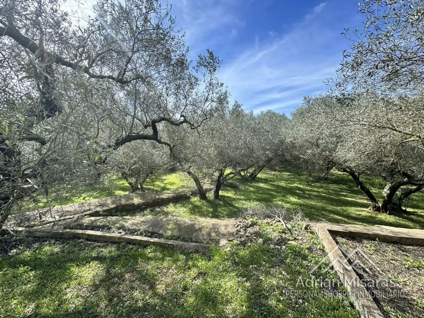 Terreno rústico en venta en L'Aldea, imagen 36