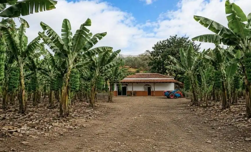 Exterior view of Houses for sale in Gáldar  with Private garden