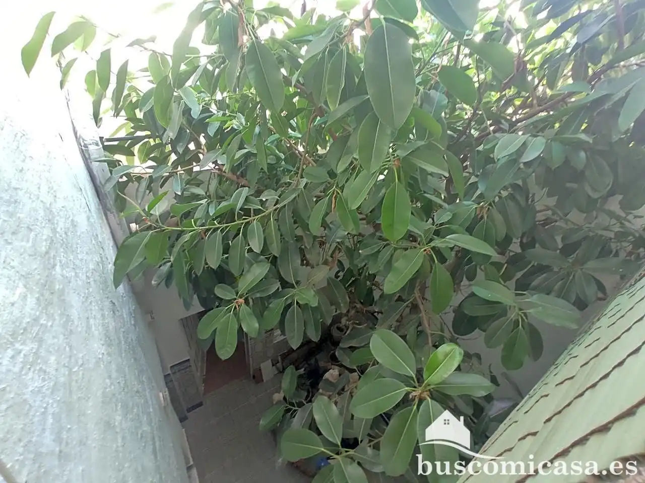 Casa amb terrassa en venda a Del Marqués De Linares, imagen 34