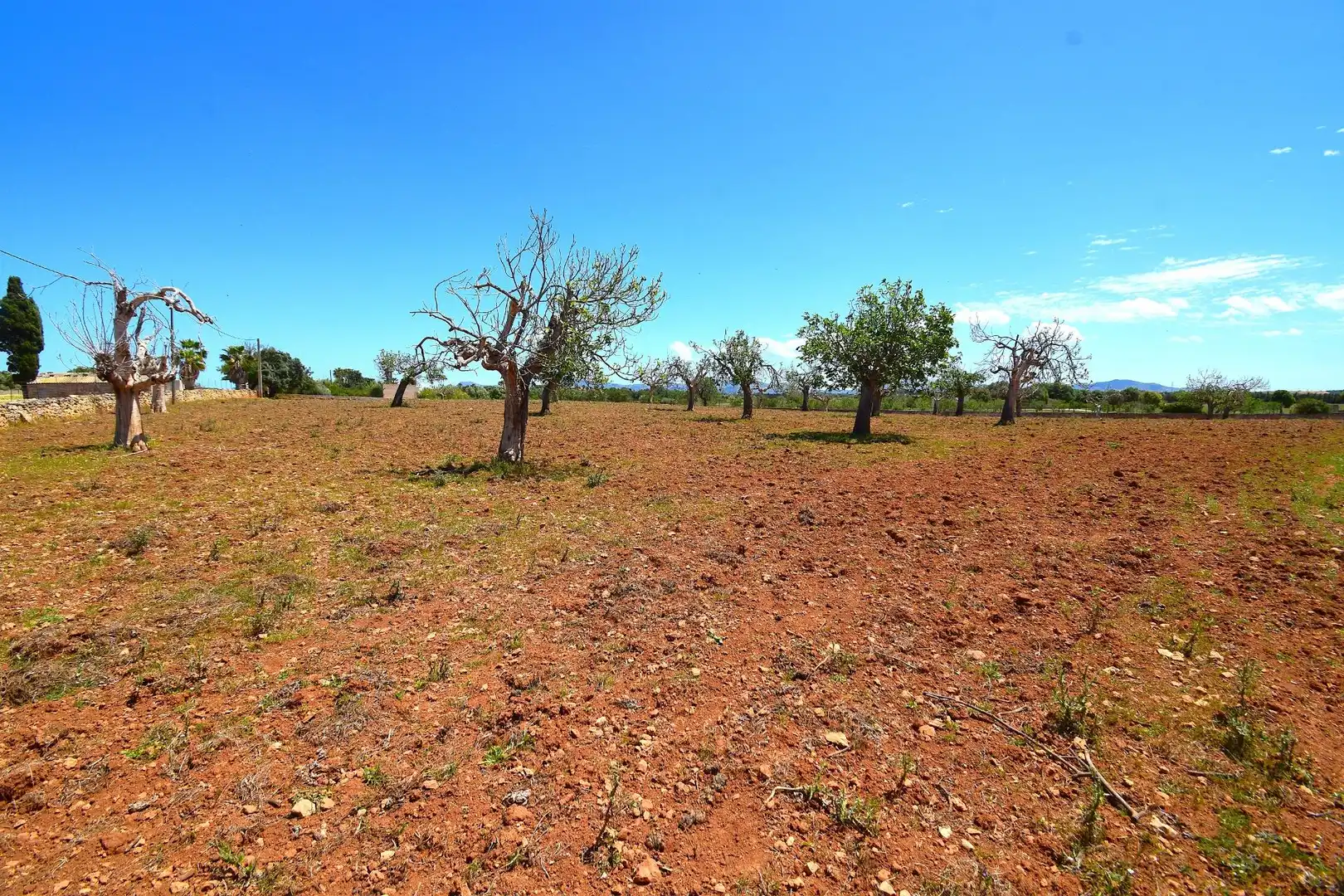 Residential land for sale in Santa Margalida Poble, imagen 7