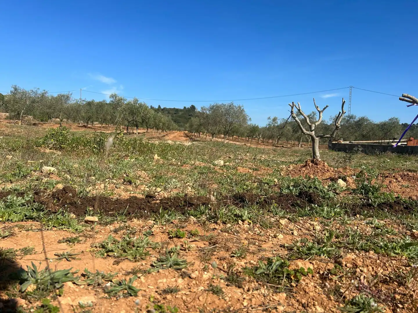 Terreno en venta en BARONA, Vall d'Alba