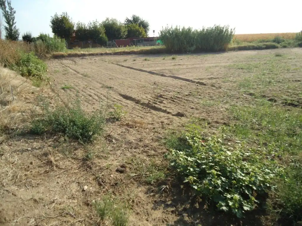 Terrain rustique à vendre à Don Benito, imagen 3