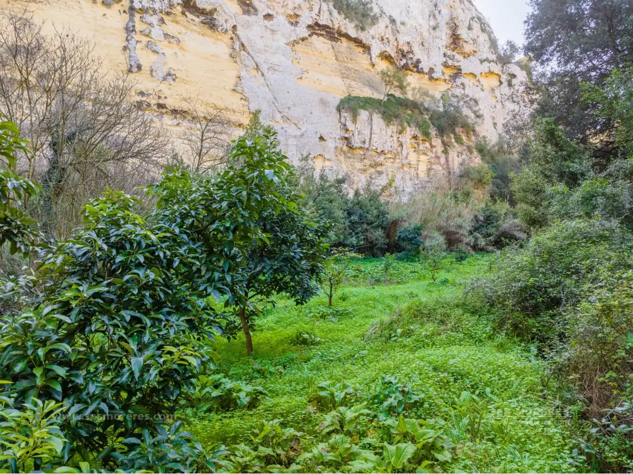 Terreny rústic en venda a Ciutadella, imagen 43